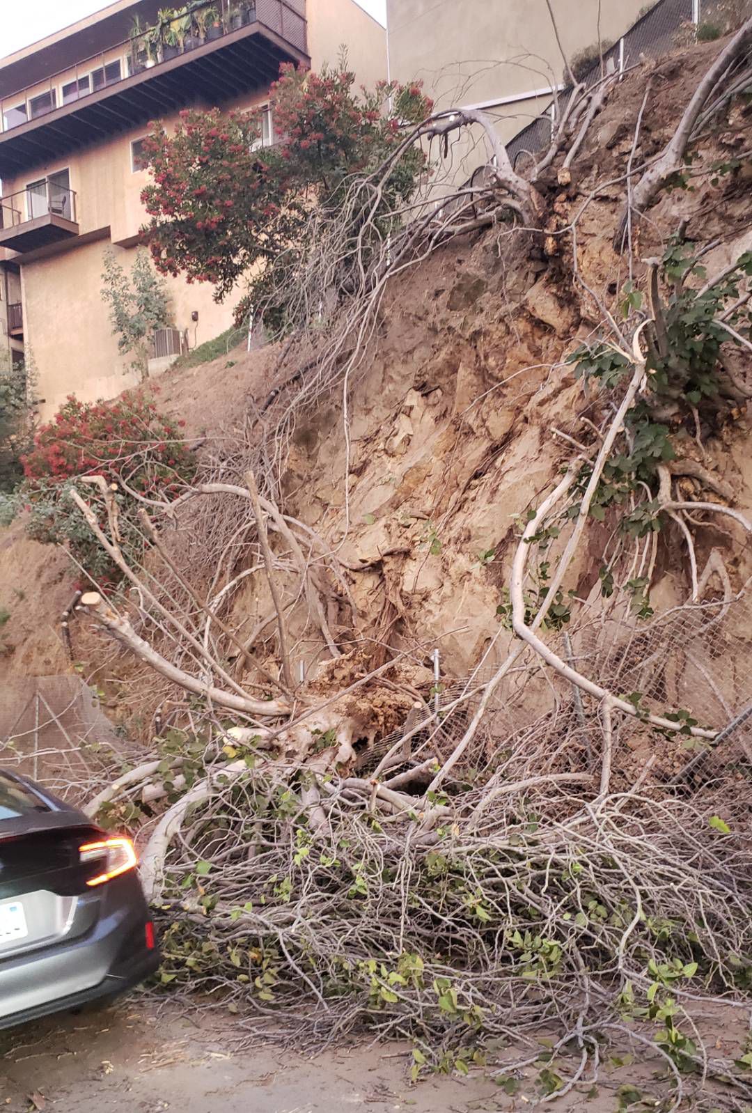 Silver Lake Rock Slide